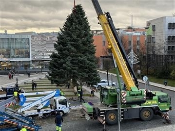 Vánoční strom už stojí na náměstí